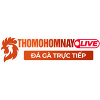 Đá Gà Trực Tiếp ThoMoHomNay 