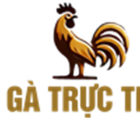 ĐÁ GÀ  TRỰC TIẾP