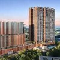 Purva Northern Lights