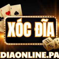 CEO Huỳnh Nam Xóc Đĩa
