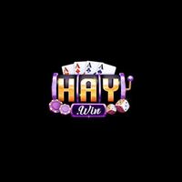HAYWIN Bar