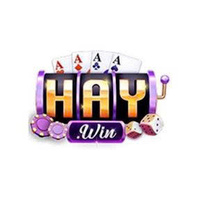 HAYWIN 