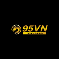 95VN 5pro
