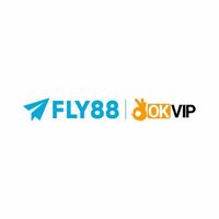 Fly888 it com