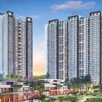 prestige goldengrove