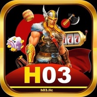 H03 LLC