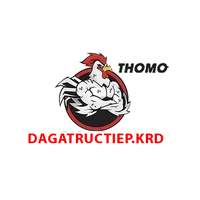ĐÁ GÀ TRỰC  TIẾP KRD