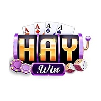 77haywin com