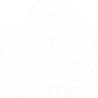 Puptown Houston Dog Training