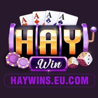 Haywin eucom