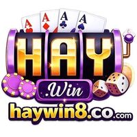 Haywin 