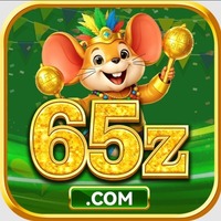 65z 