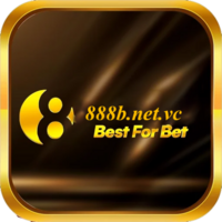 888B netvc