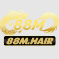 88M 