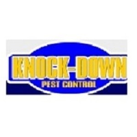 Knockdown Pest Control