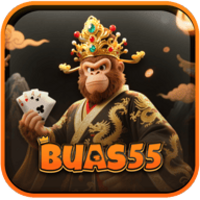 buas55 buas55