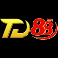 CEO  David Trần