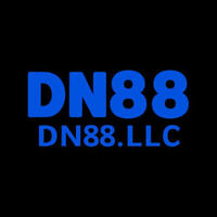 DN88  LLC