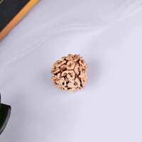 3 Mukhi  Rudraksha