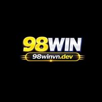 98Winvn dev