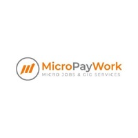 Micro PayWork
