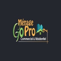 Go Pro  Cleaning
