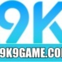 K9K9 Game