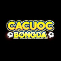 Cá Cược  Bóng Đá
