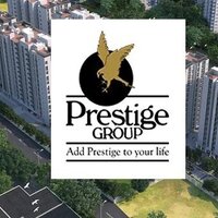 Prestige Golden Grvoe