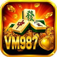 vm987 vm987