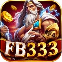 fb333 fb333