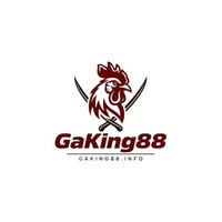 GaKing88 dot Infov