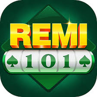 remi101 remi101