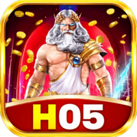 h05 h05