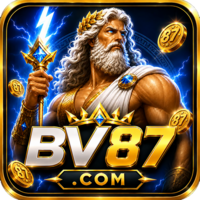 bv87 bv87