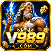 v989 v989