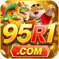 95r1 95r1