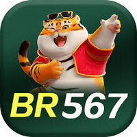 br567 br567