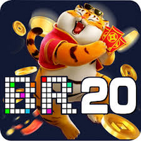 br20 br20
