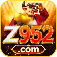 z95 z95