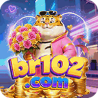br102 br102