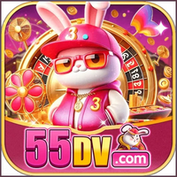 55dv 55dv