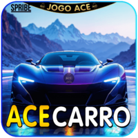 acecarro acecarro
