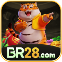 br28 br28