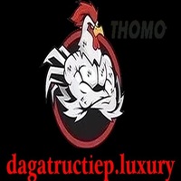 ĐÁ GÀ TRỰC TIẾP LUXURY