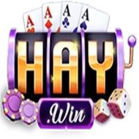 HAYWIN 